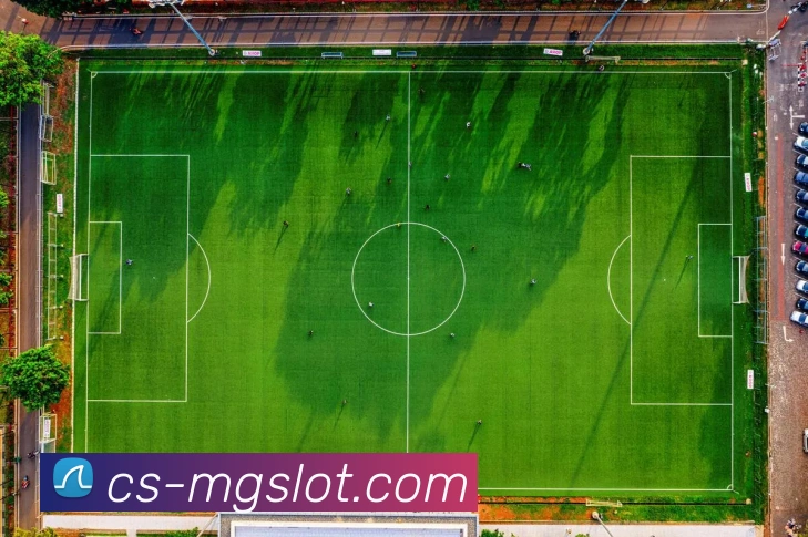 MG电子游戏官网APP 封面图